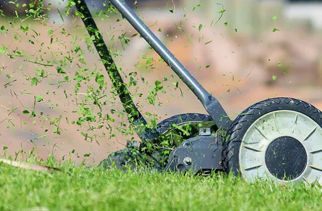 Lawn Maintenance